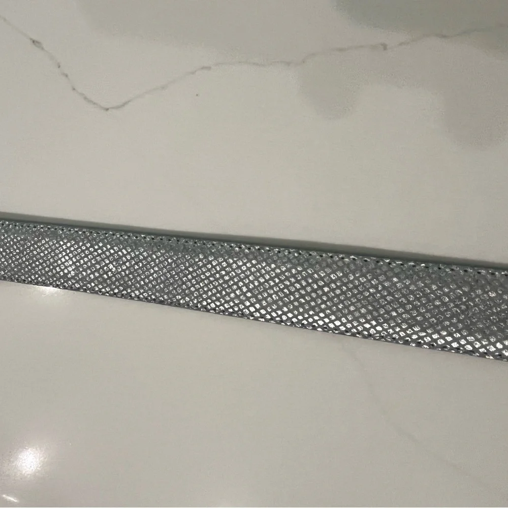 Vintage Elite 1807 Fresno California Silver Textured Belt Size Women’s Large